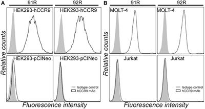 92R Monoclonal Antibody Inhibits Human CCR9+ Leukemia Cells Growth in NSG Mice Xenografts